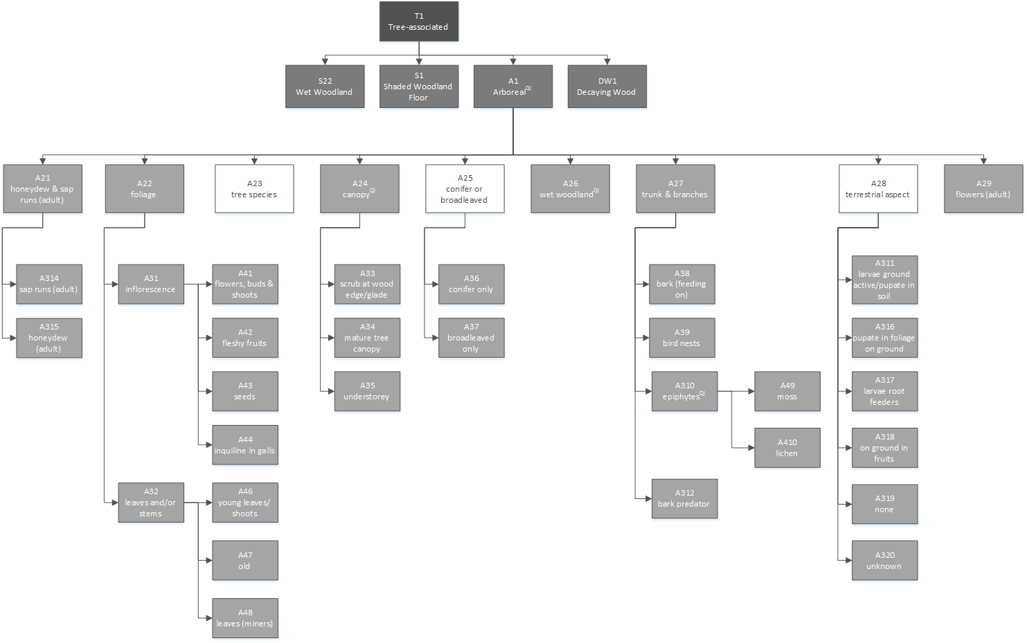Diagram of arboreal hierarchy