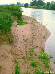 Photo showing riparian sand