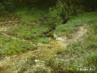 Photo of a seepage
